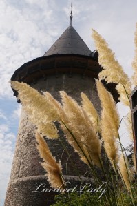 Looking up at the Tour from the garden.