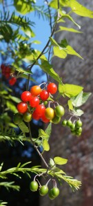 Looking up at the Tour