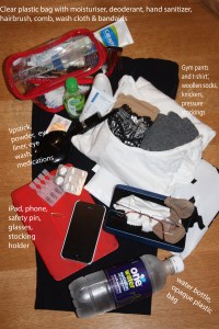 Essential items for my carry-on luggage