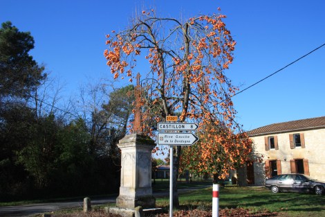 The minor roads that weave through the countryside will present delightful and surprising vistas.  