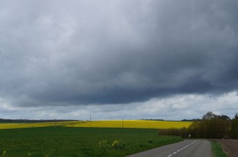 Web-storm-front-over-canola